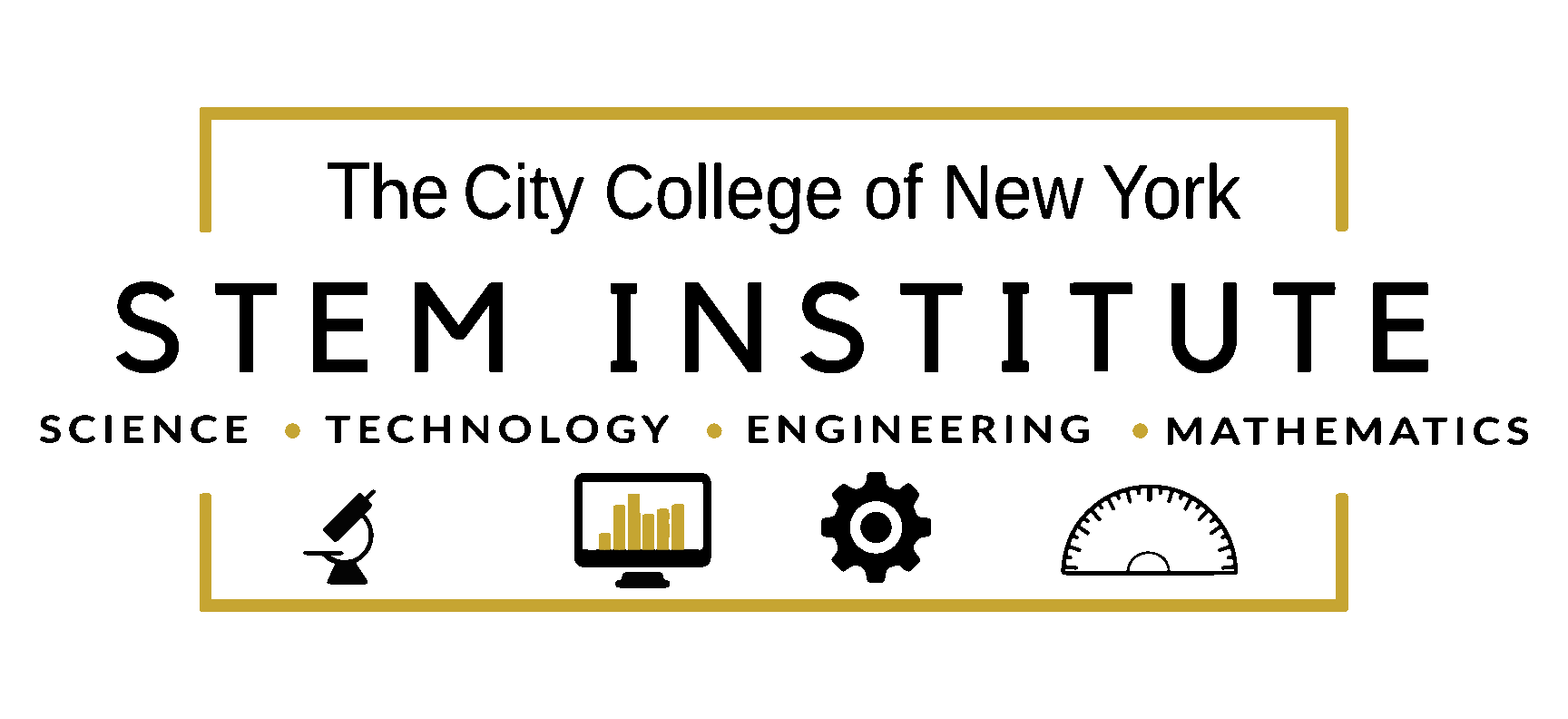 C C N Y Stem Institute logo